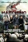 The Hatching