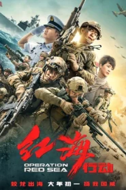 Operation Red Sea